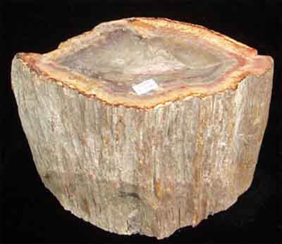 Màu gỗ Màu gỗ