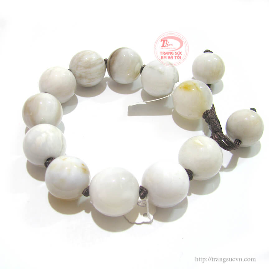 go-hoa-thach,Gỗ hóa thạch