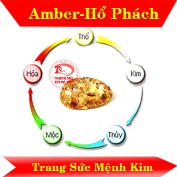 Amber-Hổ Phách Amber-Hổ Phách